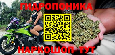 крисы Ярцево