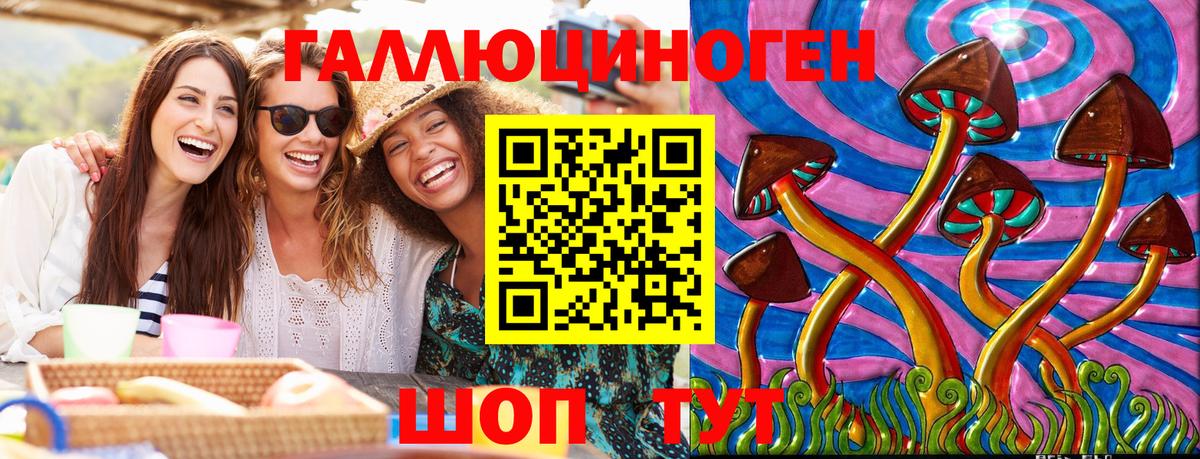 Галлюциногенные грибы Psilocybine cubensis Кропоткин