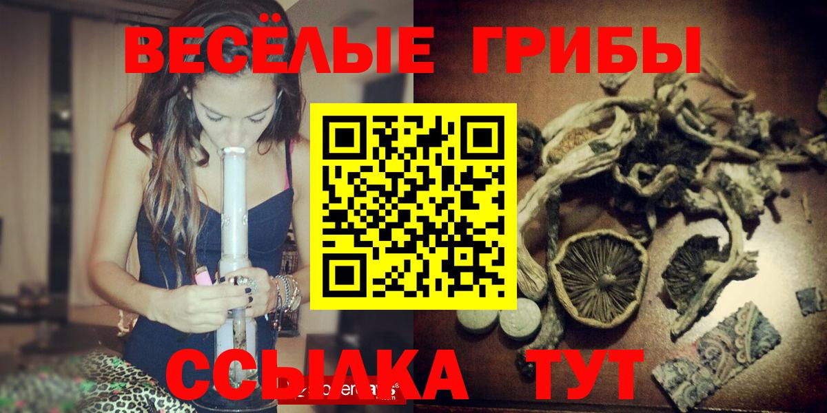 Галлюциногенные грибы Psilocybe  закладка  Кропоткин  Вход с VPN 